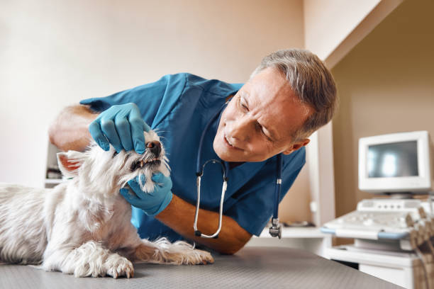 Best Mobile Emergency Dentist in Cashion, OK